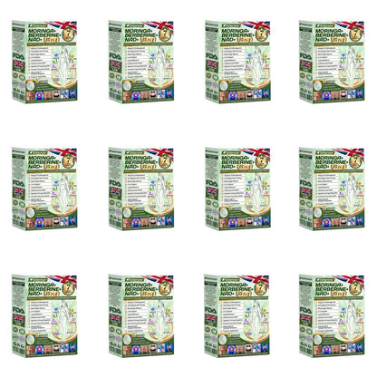 🎁Official Store | 🍋Solaroza® Moringa & Berberine 10-IN-1 Advanced Nano Microneedle 1 Patch (Once Daily, visible changes in 7 days) ✅ Obesity, Diabetes, Sleep Apnea, And Joint Issuess
