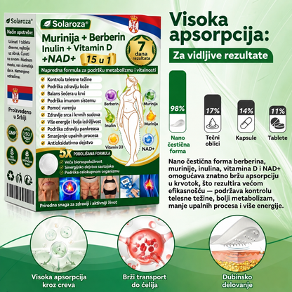 🌟 Zvanična prodavnica | 🍋Solaroza® Moringa & Berberine 10-U-1 Napredni Nano Mikronigling Flaster 1 Komad (Jednom dnevno, vidljive promene za 7 dana) ✅ Gojaznost, Dijabetes, Apneja u snu i Problemi sa zglobovima-3