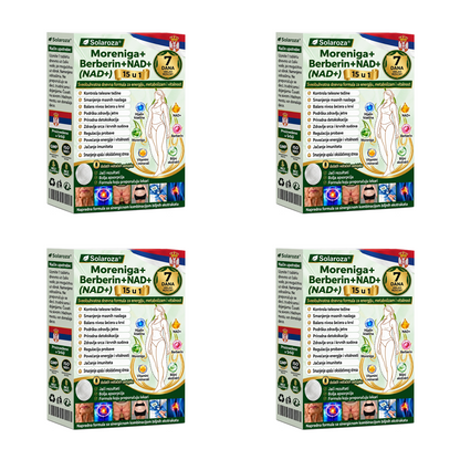 🌟 Zvanična prodavnica | 🍋Solaroza® Moringa & Berberine 10-U-1 Napredni Nano Mikronigling Flaster 1 Komad (Jednom dnevno, vidljive promene za 7 dana) ✅ Gojaznost, Dijabetes, Apneja u snu i Problemi sa zglobovima-3