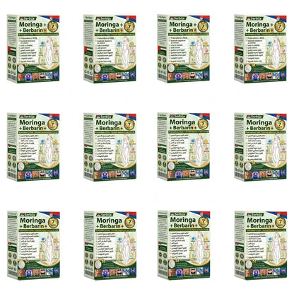 🌟 Zvanična prodavnica | 🍋Solaroza® Moringa & Berberine 10-U-1 Napredni Nano Mikronigling Flaster 1 Komad (Jednom dnevno, vidljive promene za 7 dana) ✅ Gojaznost, Dijabetes, Apneja u snu i Problemi sa zglobovima-3